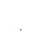 5555z bonus